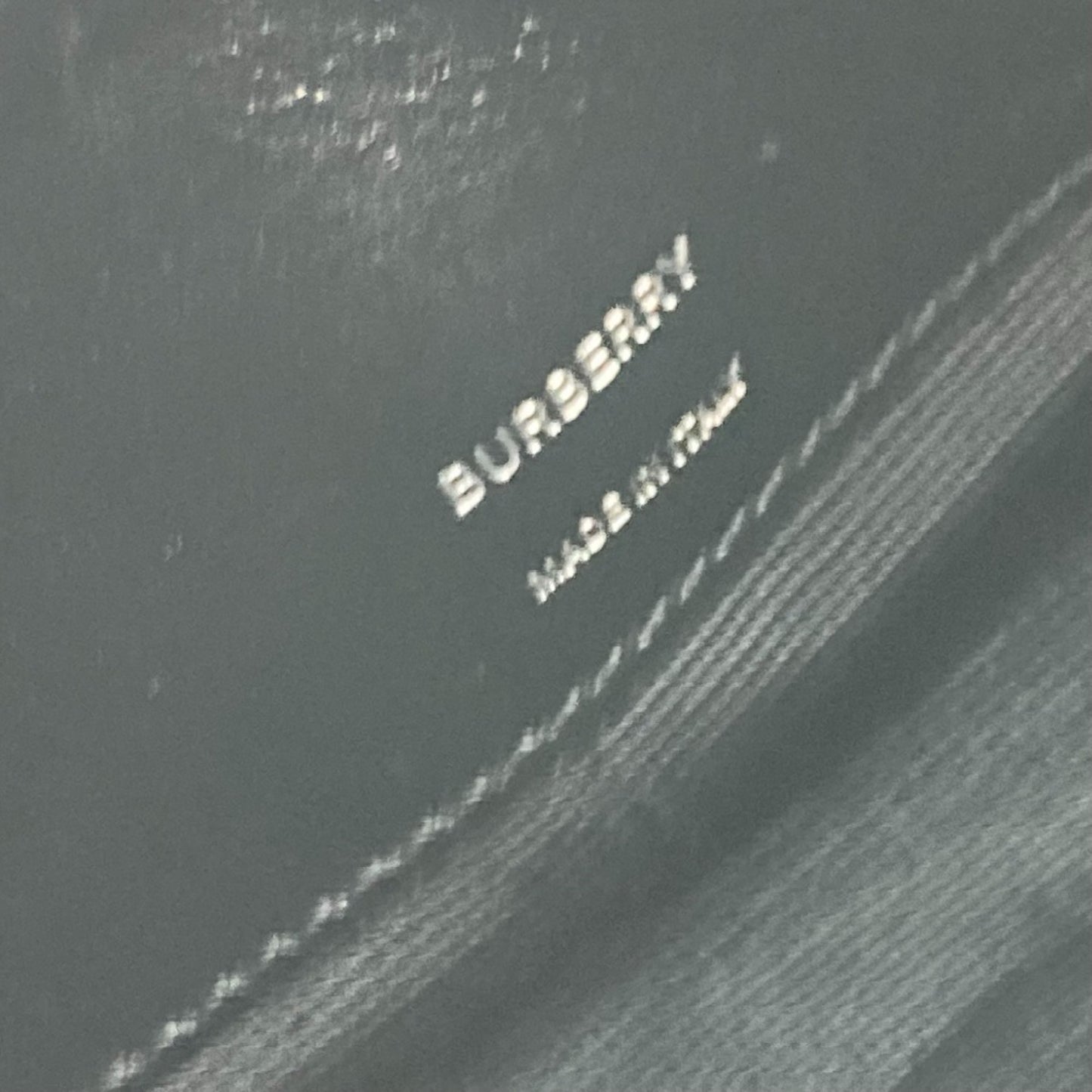 Burberry Others Black Shoulder Bags