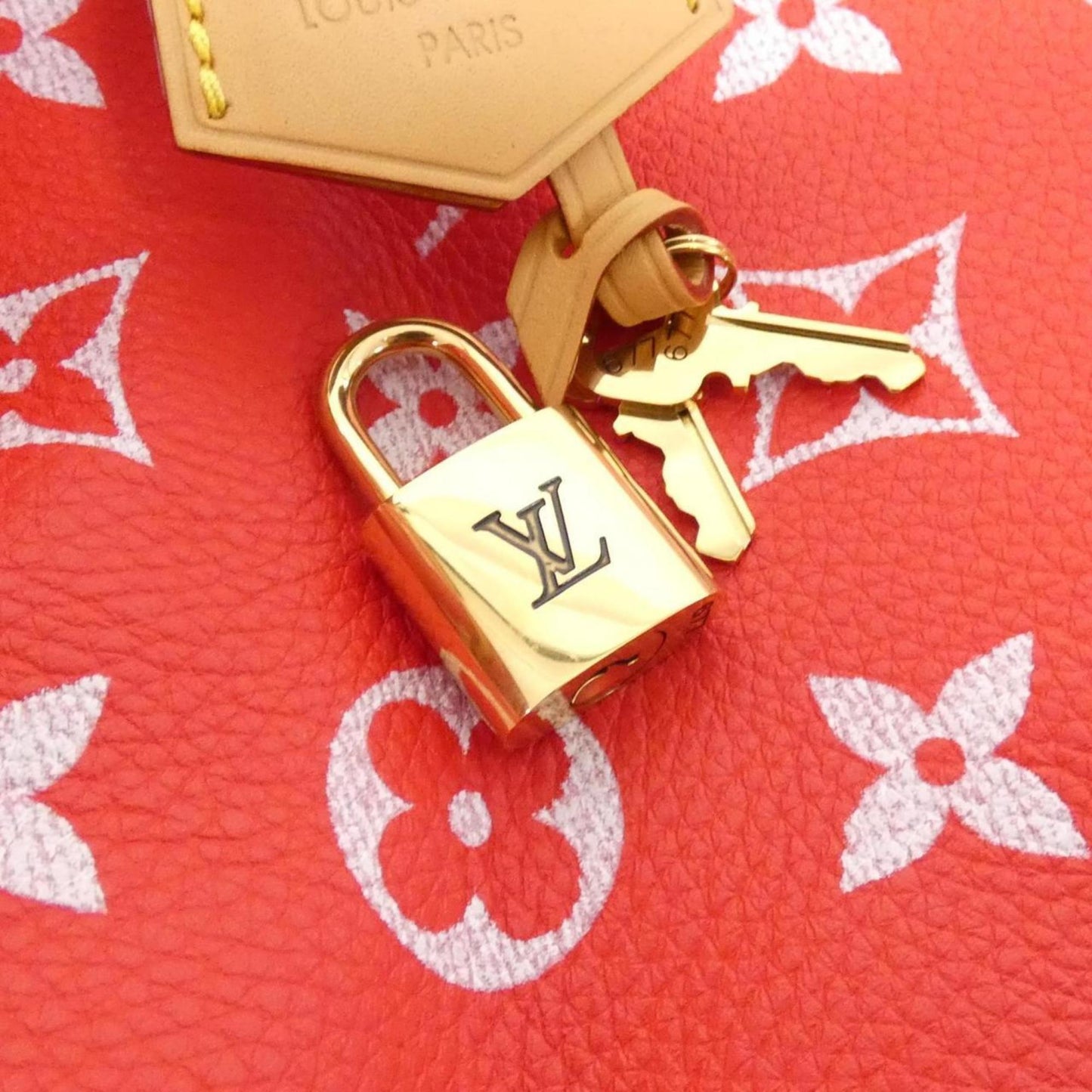 Louis Vuitton Others Red Travel Bags
