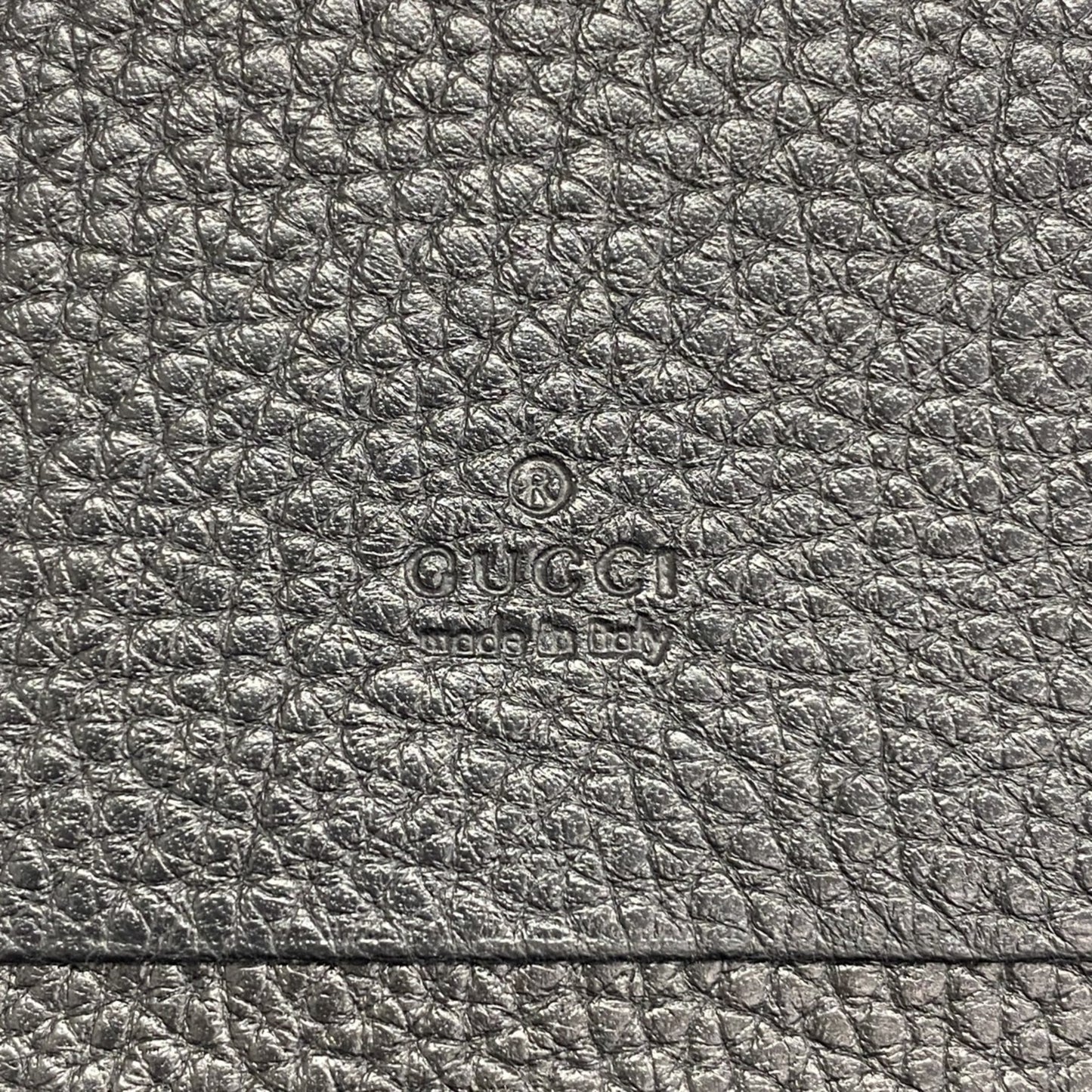 Gucci Others Black Cases