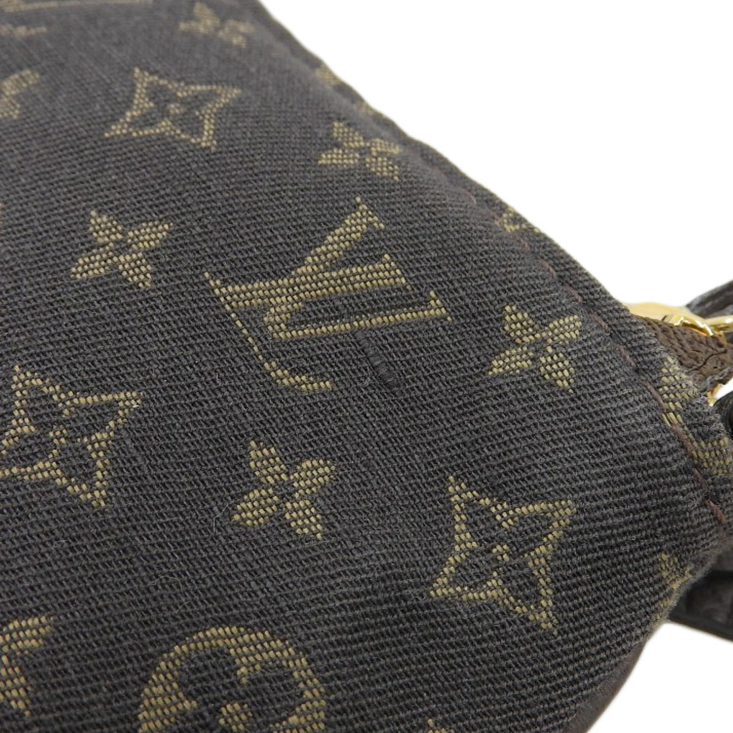 Louis Vuitton Monogram Canvas Brown Small Bags