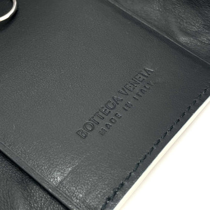 Bottega Veneta Others White Cases