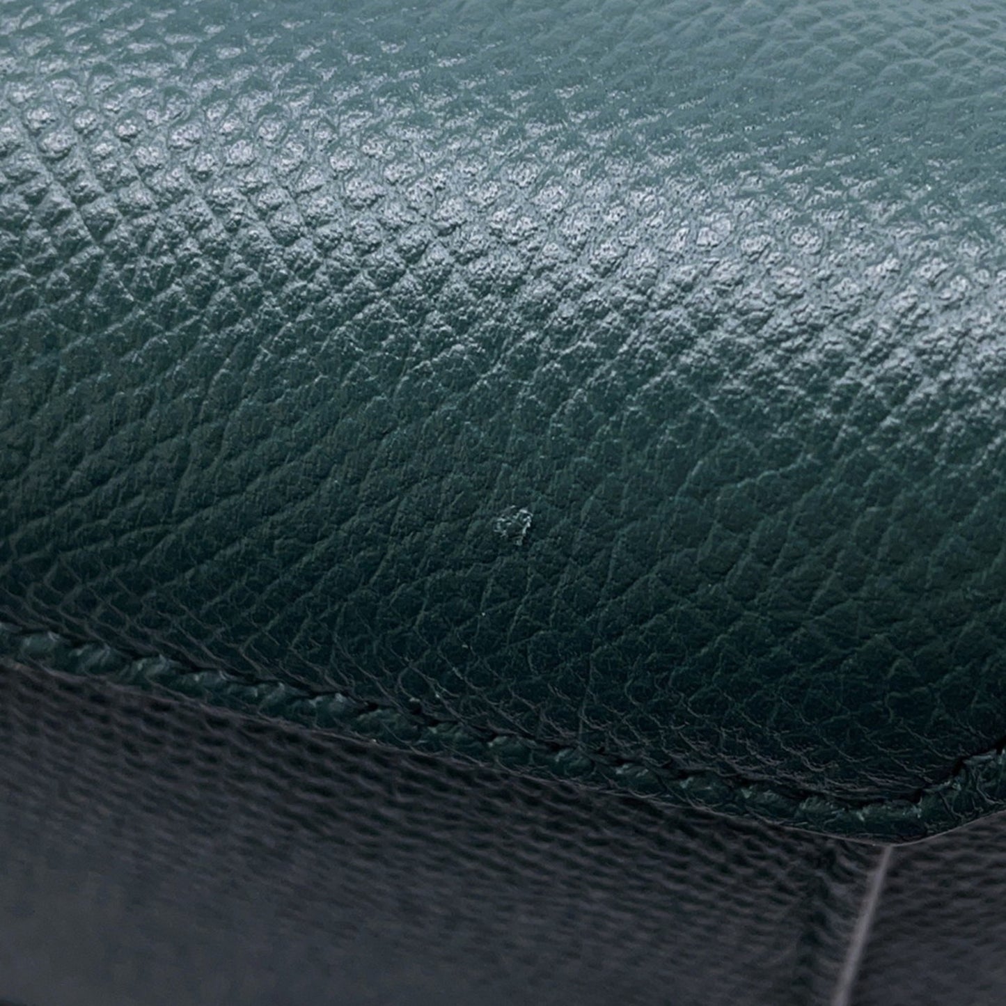 Celine Others Green Handbags