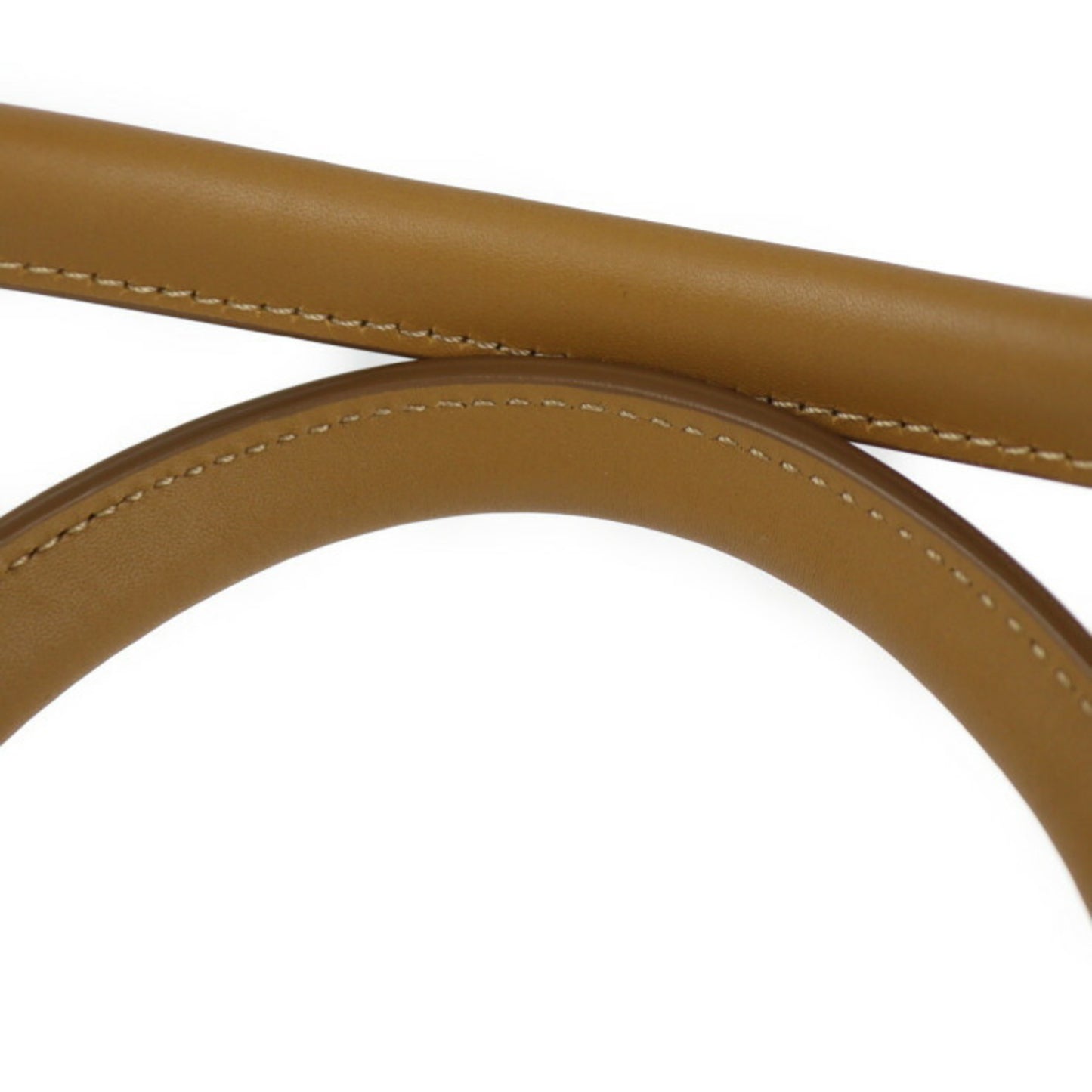 Longchamp Others Brown Handbags