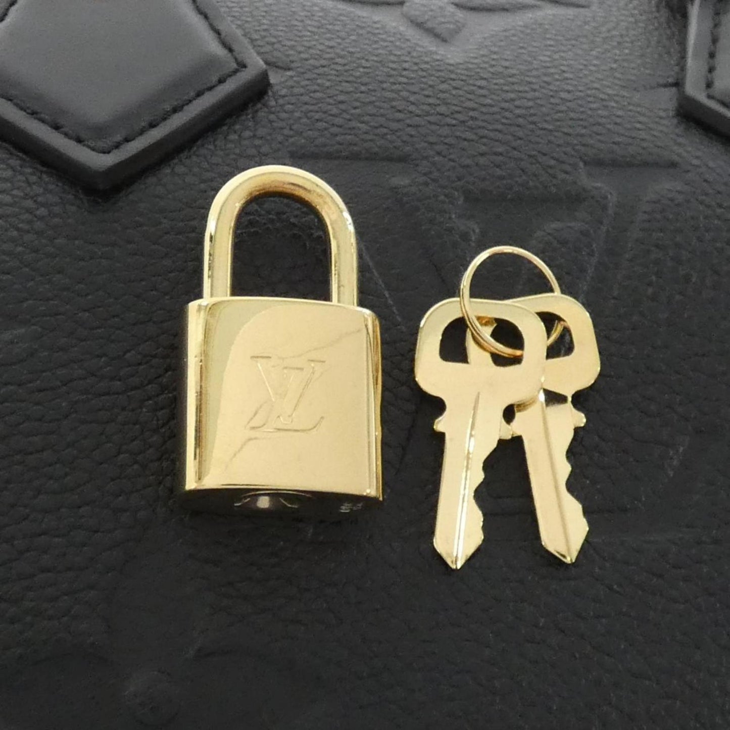 Louis Vuitton Others Black Travel Bags