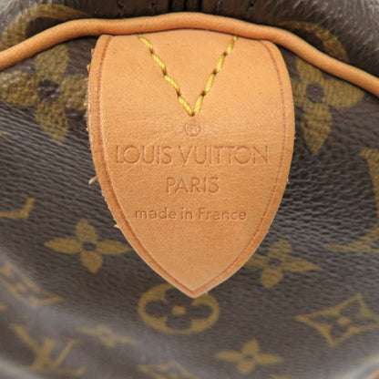 Louis Vuitton Monogram Canvas Brown Handbags