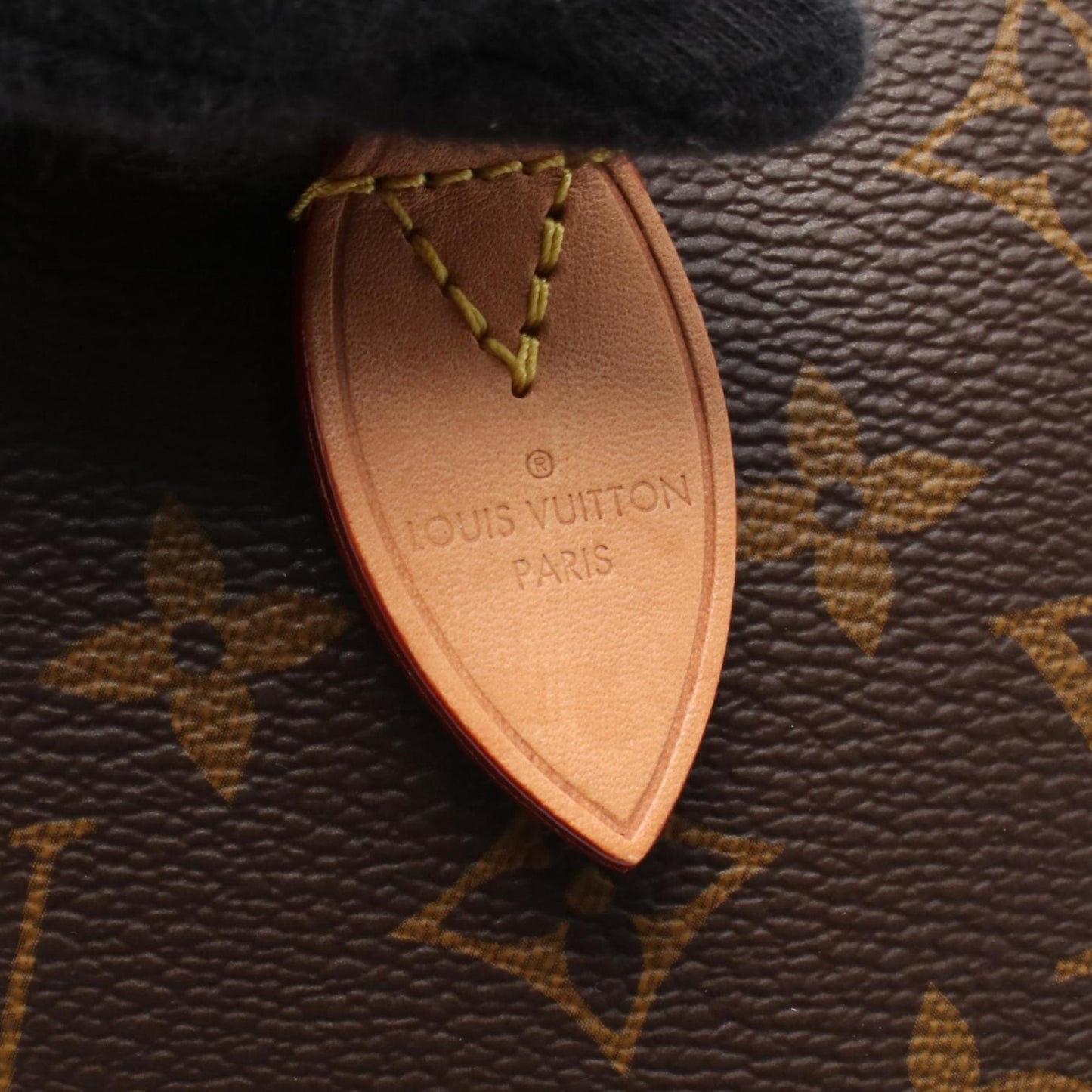 Louis Vuitton Monogram Canvas Brown Handbags