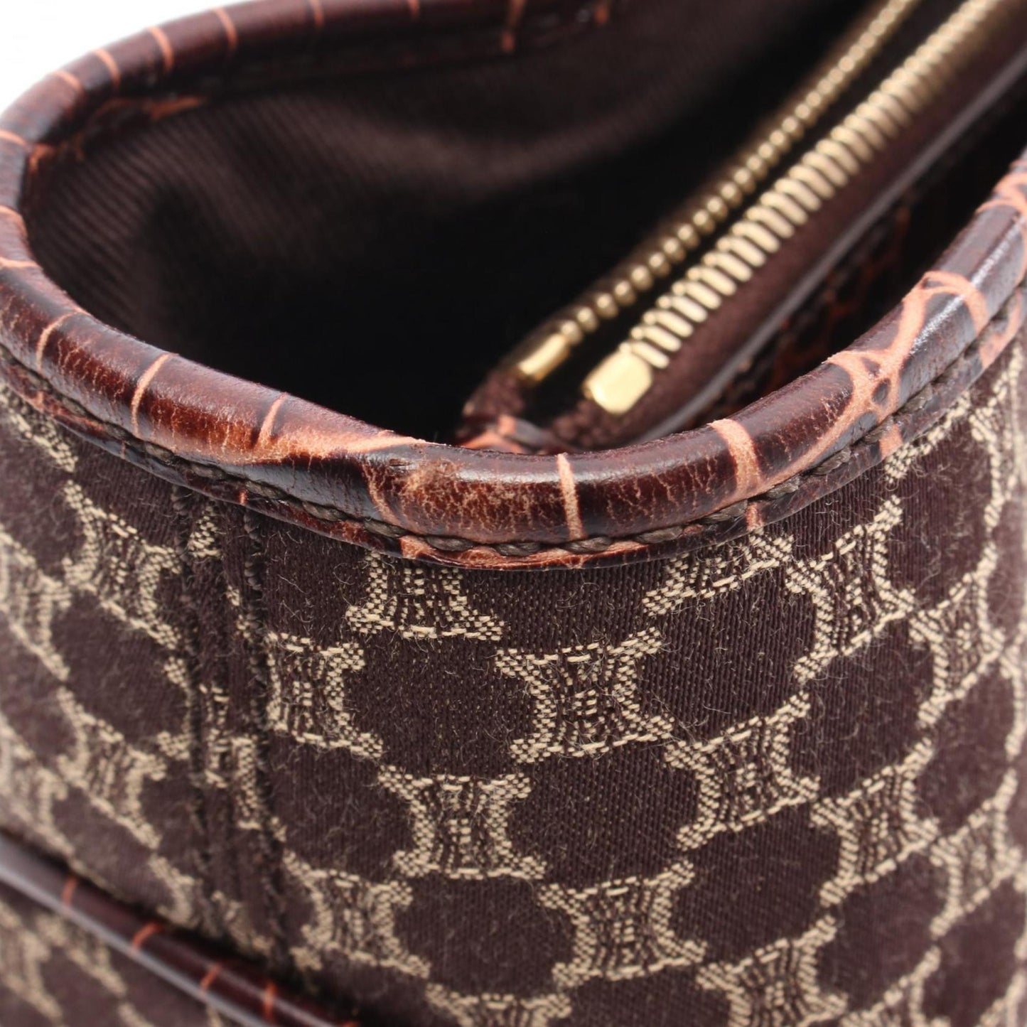 Celine Canvas Brown Handbags