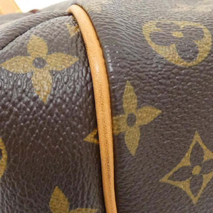 Louis Vuitton Monogram Canvas Brown Handbags