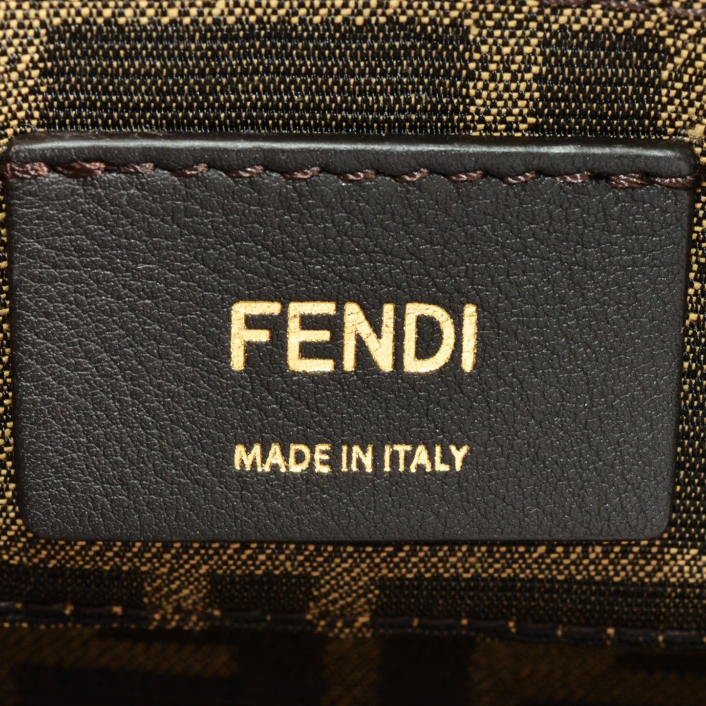 Fendi Others Green Handbags