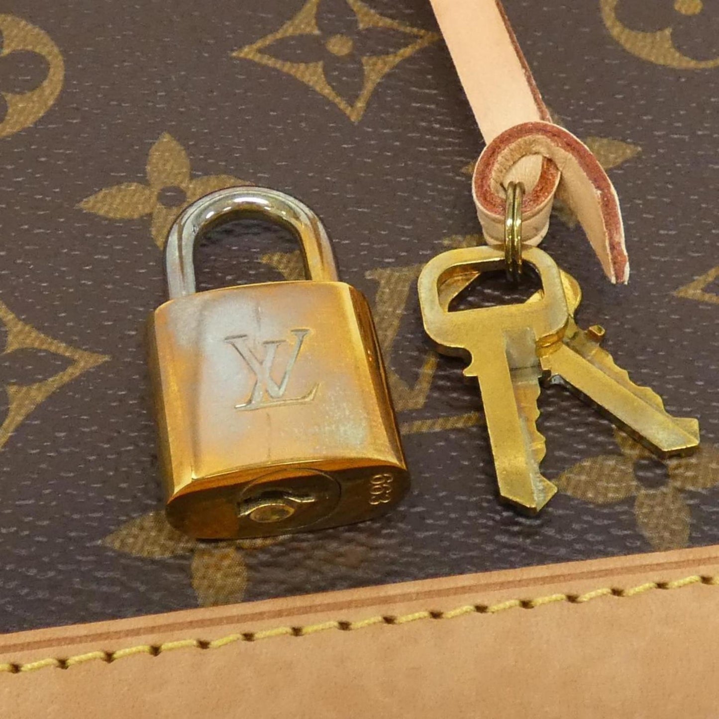 Louis Vuitton Monogram Canvas Brown Handbags
