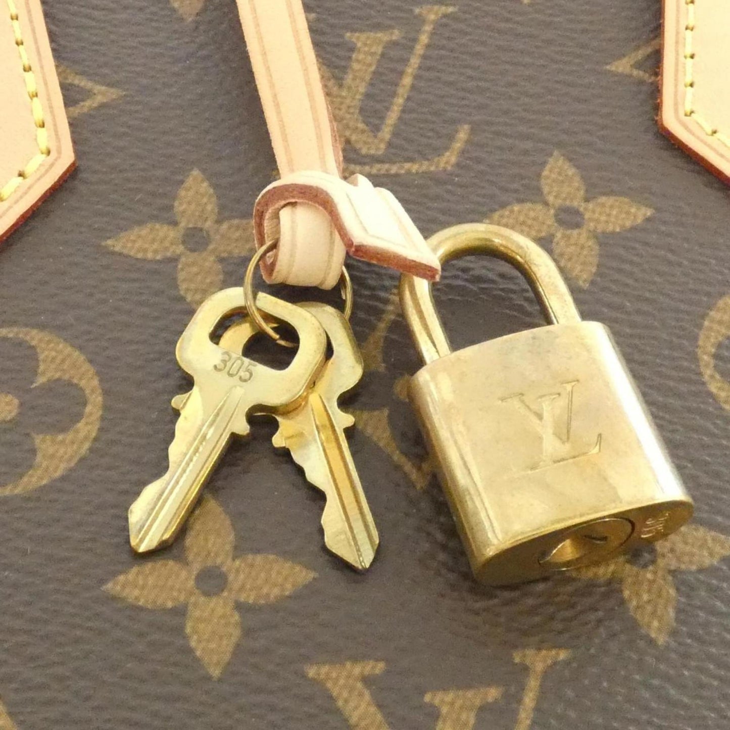Louis Vuitton Monogram Canvas Brown Handbags