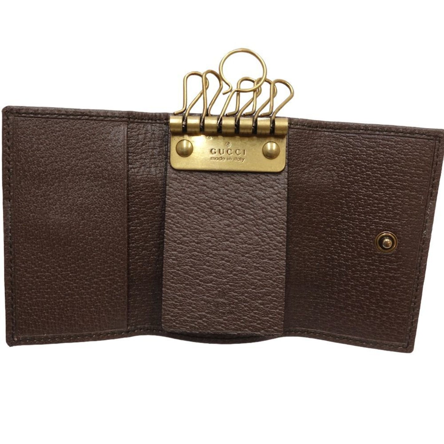 Gucci Canvas Brown Cases