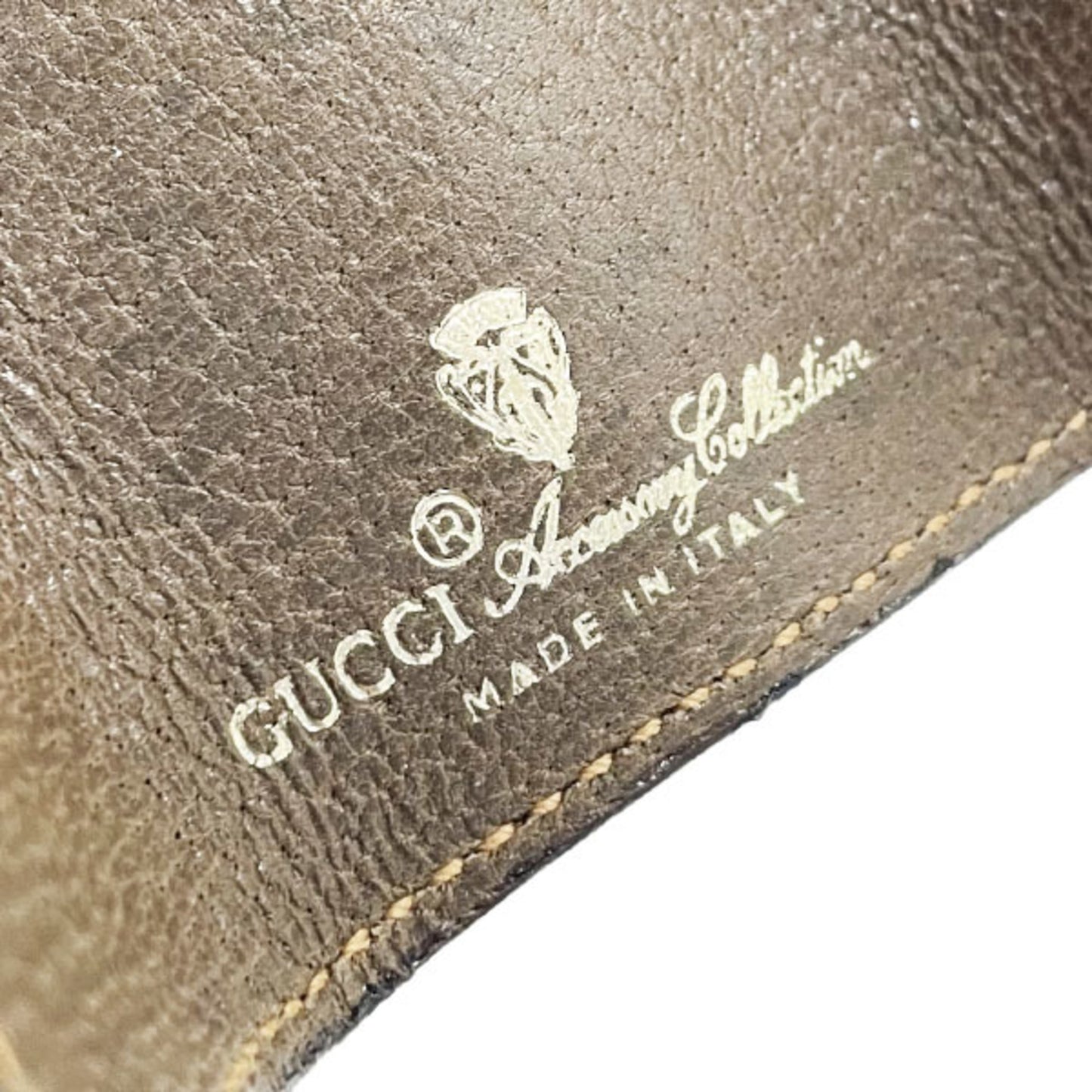 Gucci Others Brown Cases