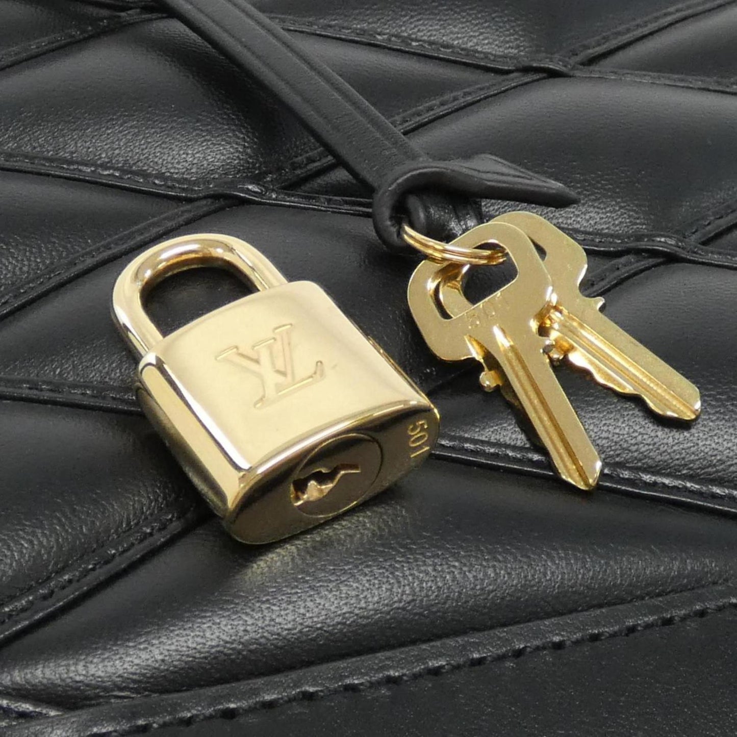 Louis Vuitton Others Black Handbags