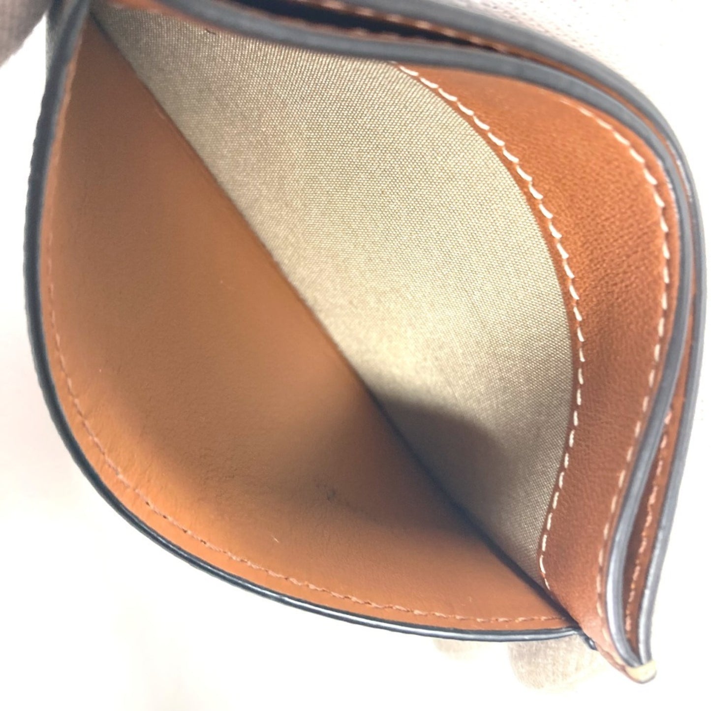 Celine Canvas Brown Cases