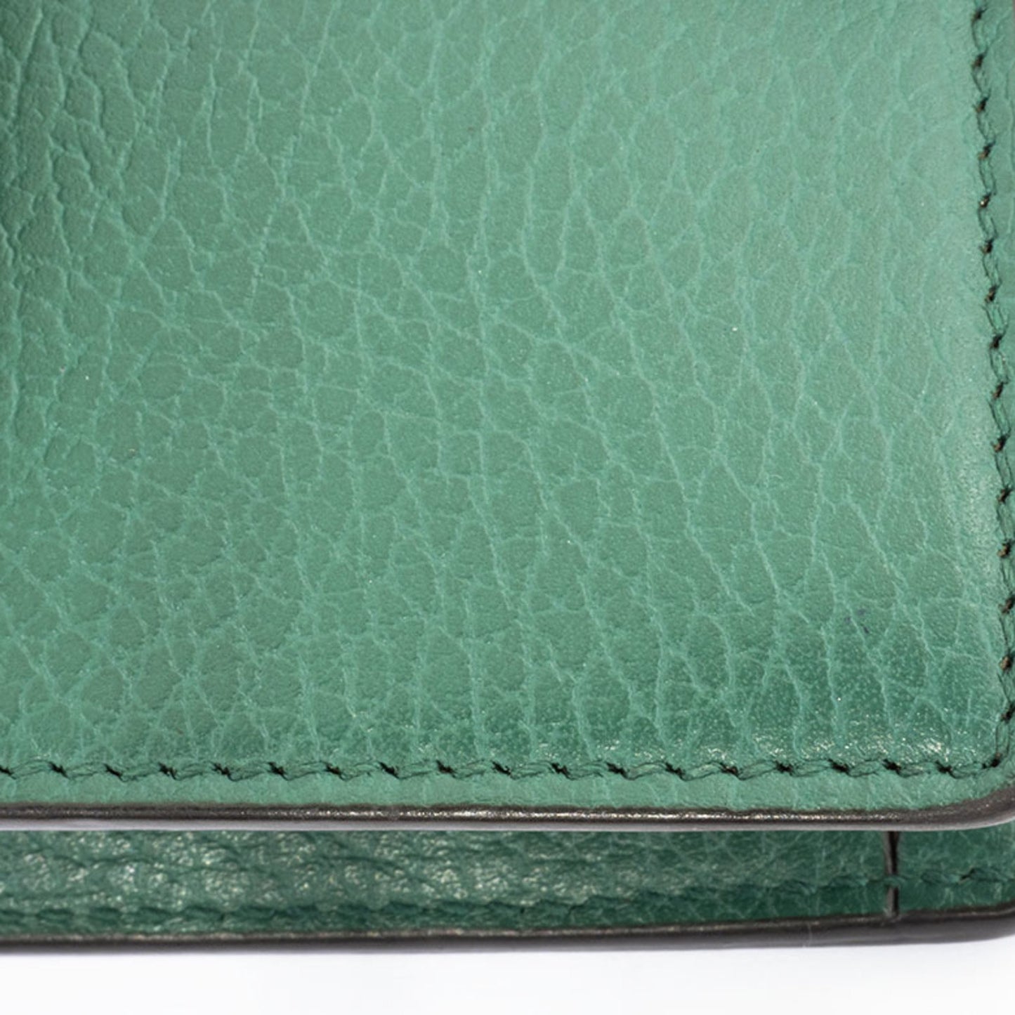 Gucci Others Green Shoulder Bags