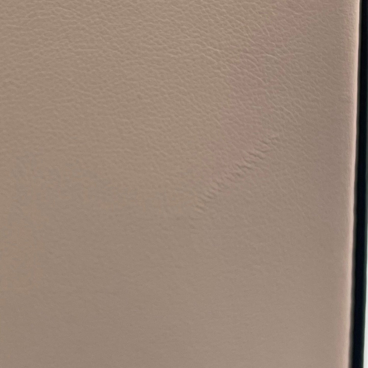 Fendi Others Pink Tote Bags