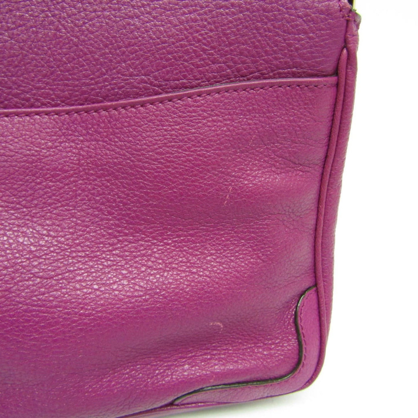 Salvatore Ferragamo Others Purple Shoulder Bags