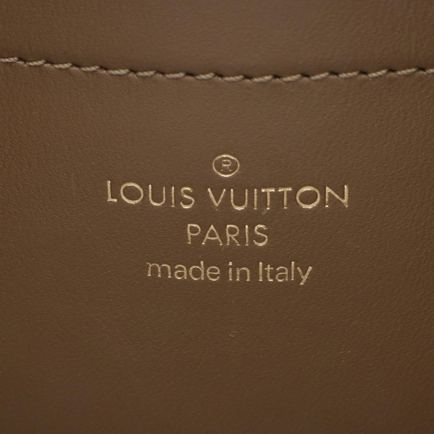 Louis Vuitton Coated Canvas Brown Handbags