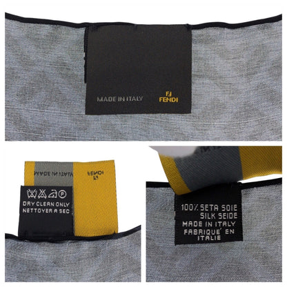 Fendi Silk Gray Scarves