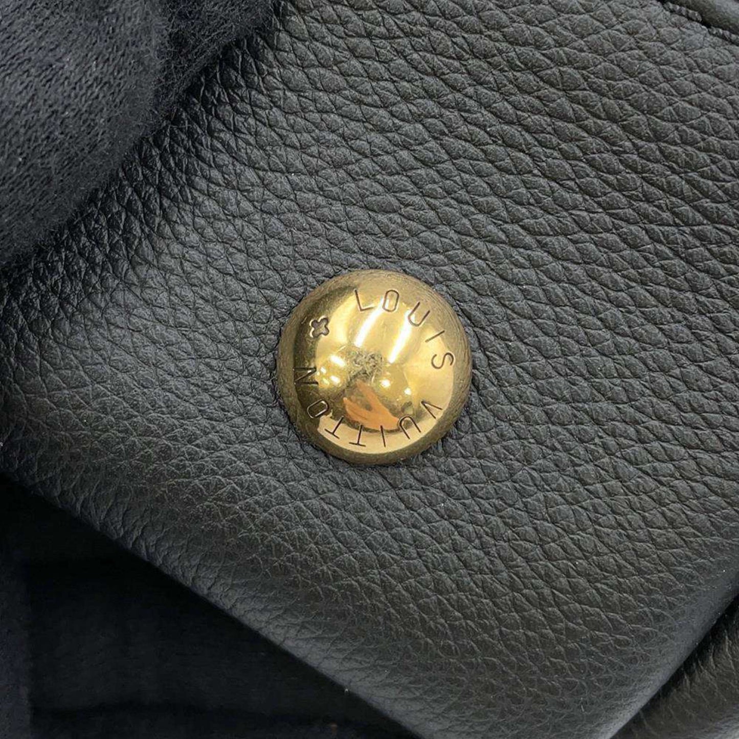 Louis Vuitton Others Black Shoulder Bags