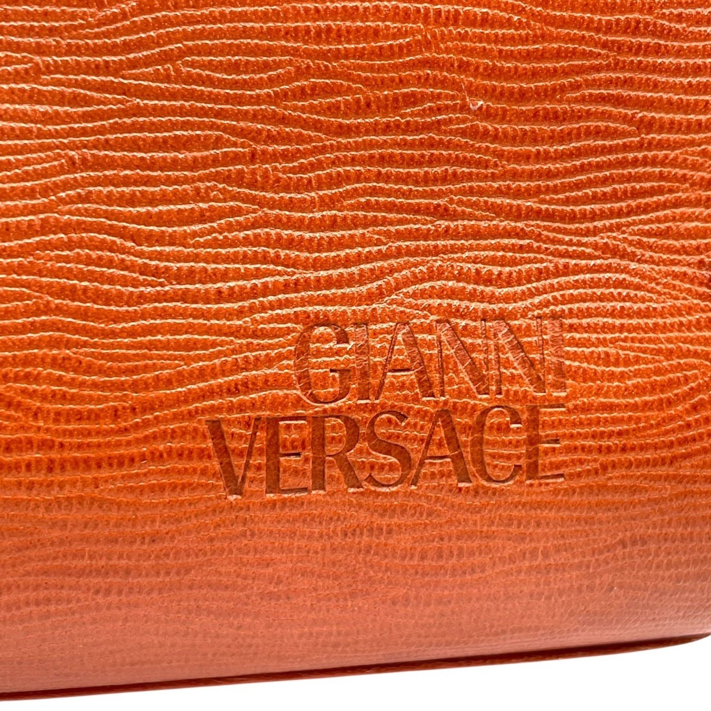 Versace Others Brown Handbags