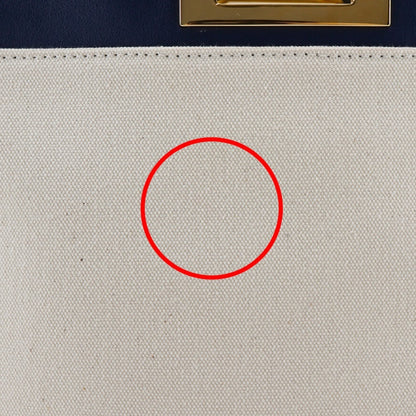 Fendi Canvas Blue Handbags