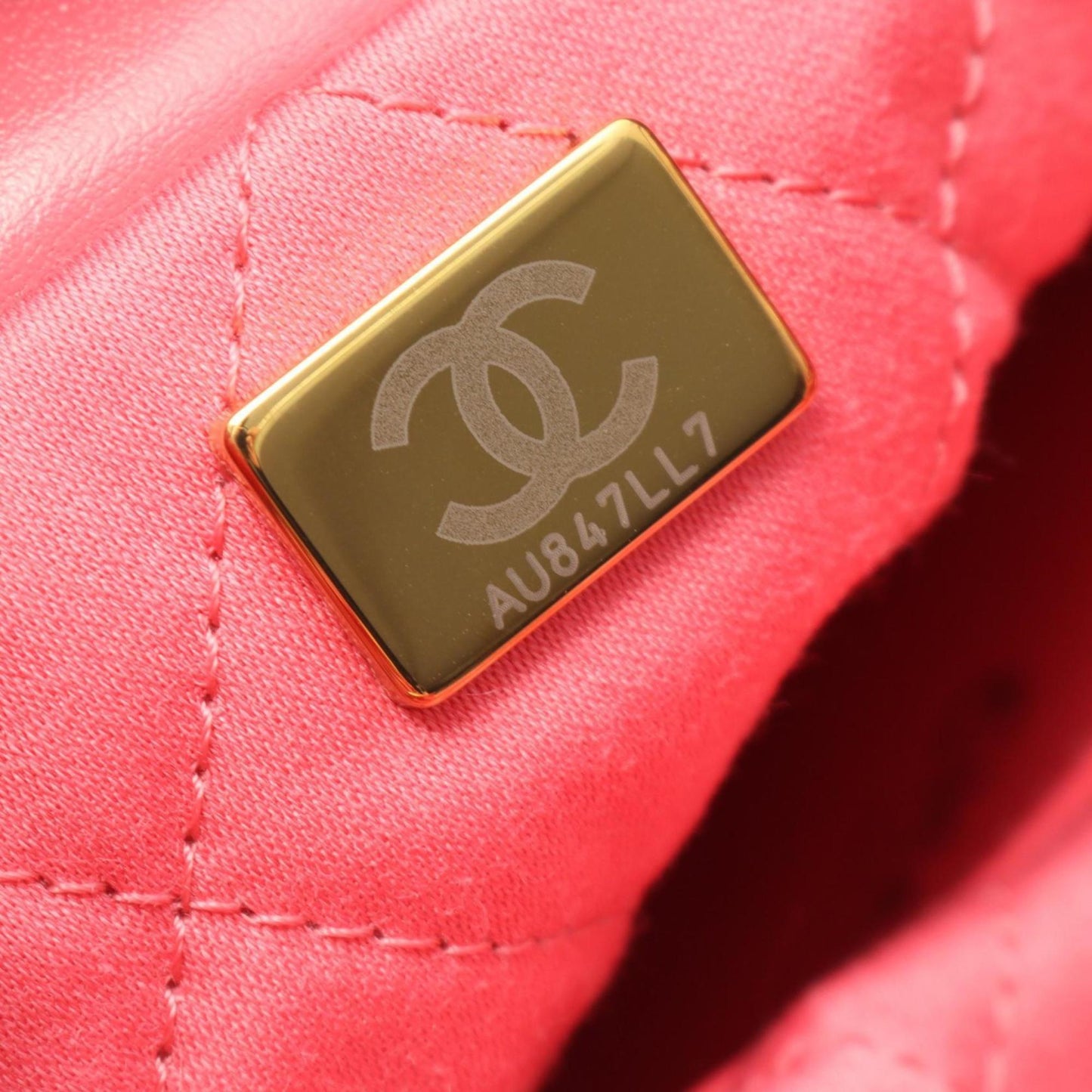 Chanel Others Pink Shoulder Bags