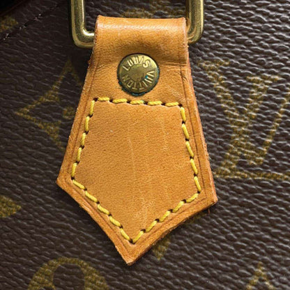 Louis Vuitton Monogram Canvas Brown Handbags