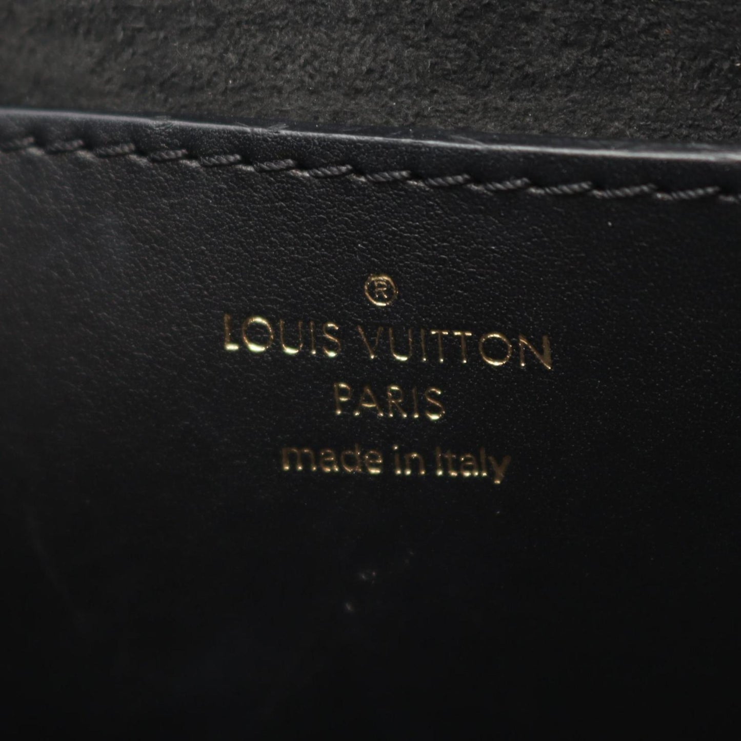 Louis Vuitton Others Black Shoulder Bags