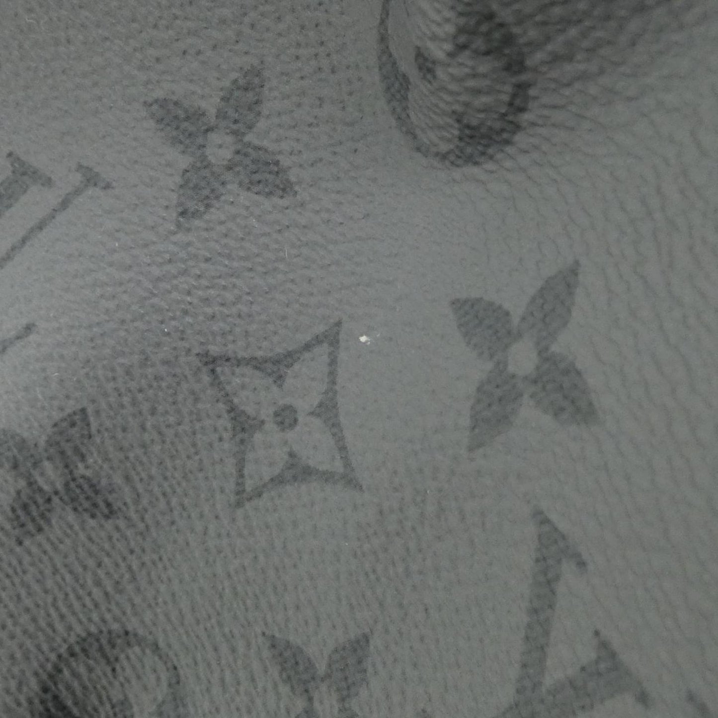 Louis Vuitton Coated Canvas Black Handbags