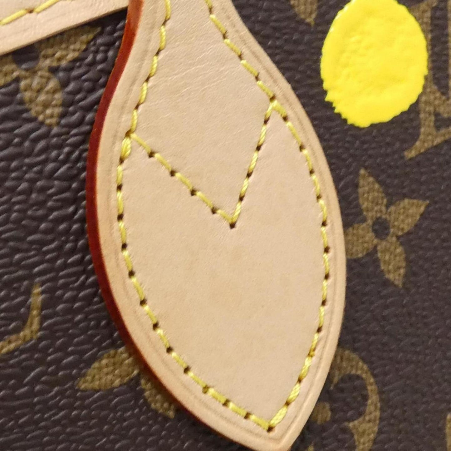 Louis Vuitton Coated Canvas Brown Handbags