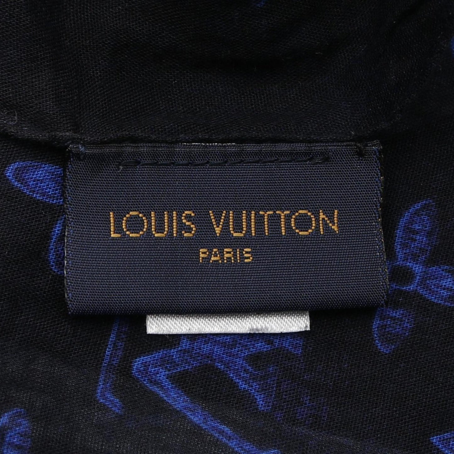 Louis Vuitton Others Blue Scarves