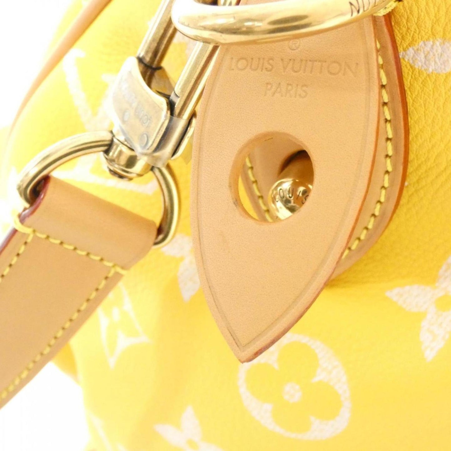 Louis Vuitton Others Yellow Travel Bags