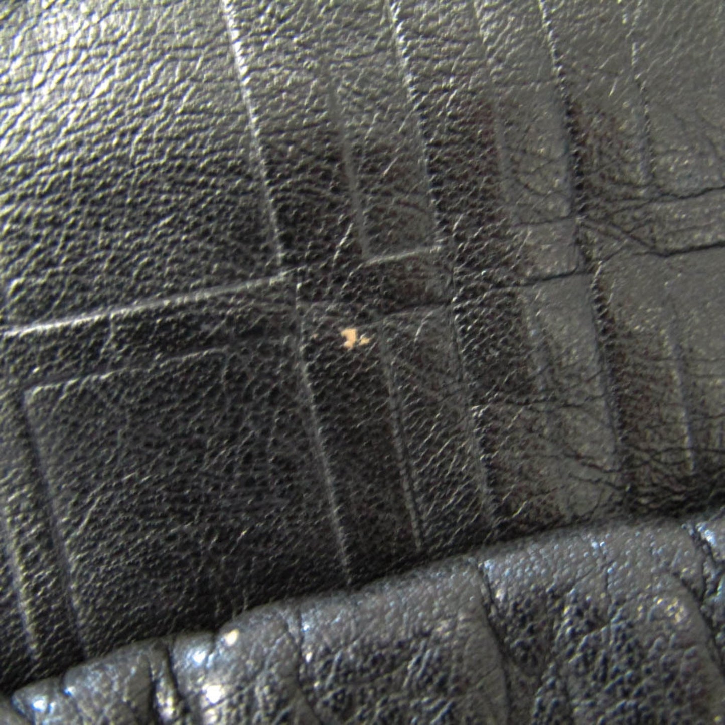 Burberry Others Black Shoulder Bags