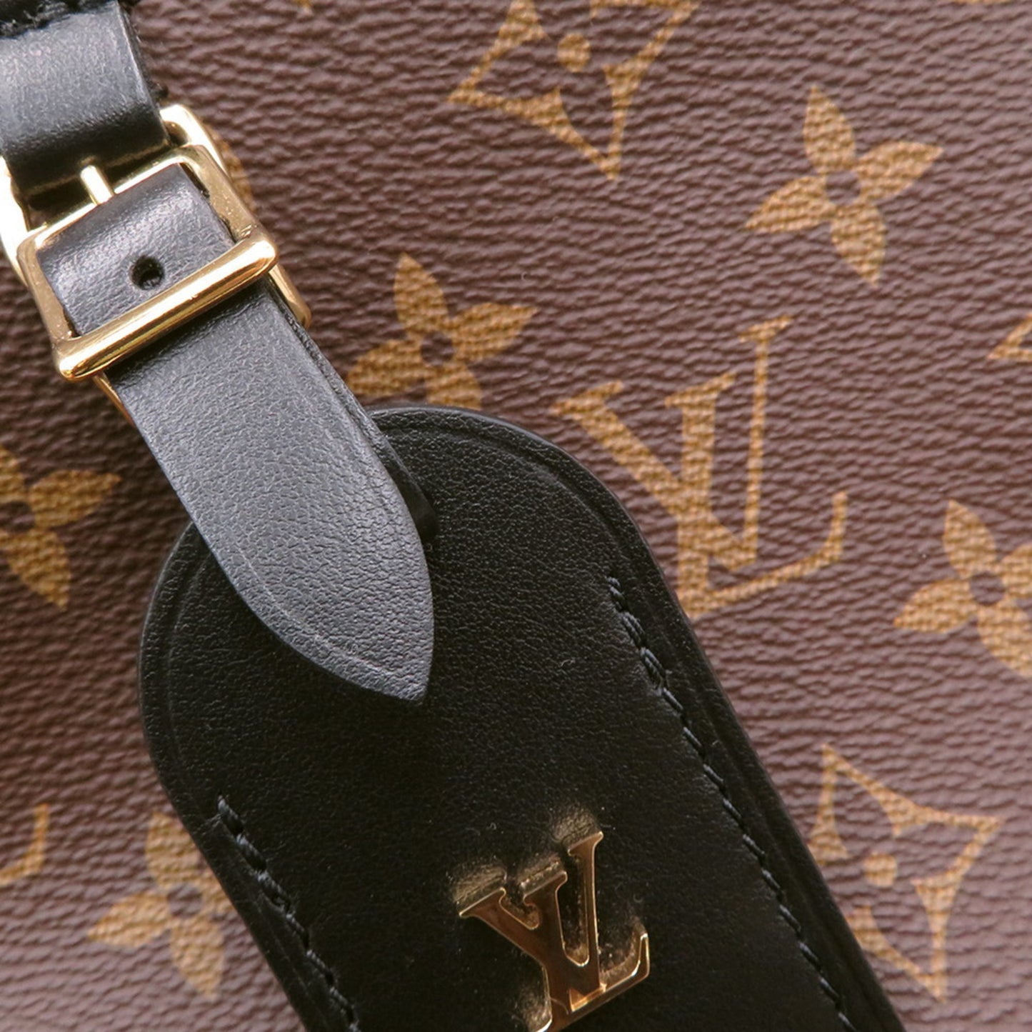 Louis Vuitton Monogram Canvas Black Shoulder Bags