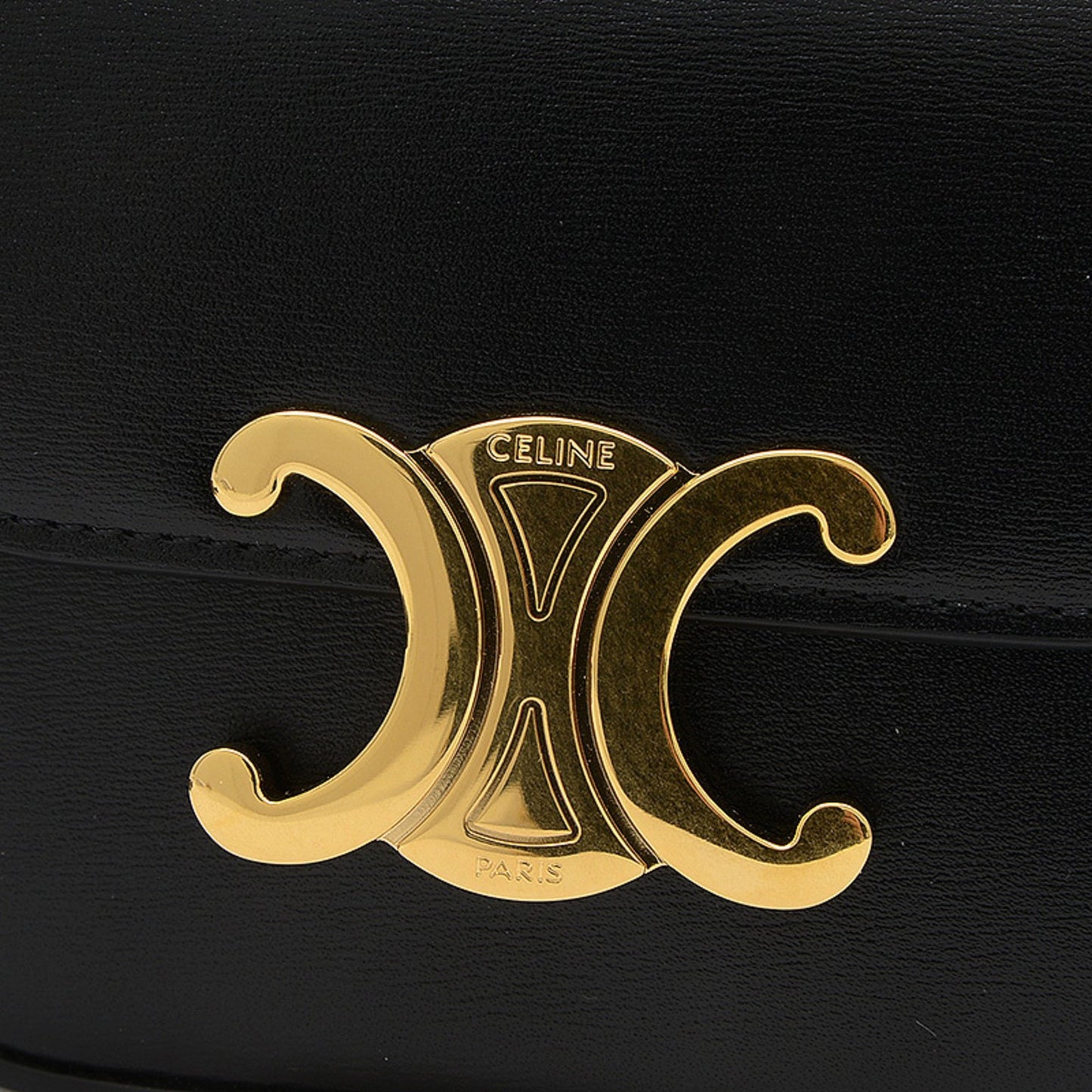 Celine Others Black Shoulder Bags