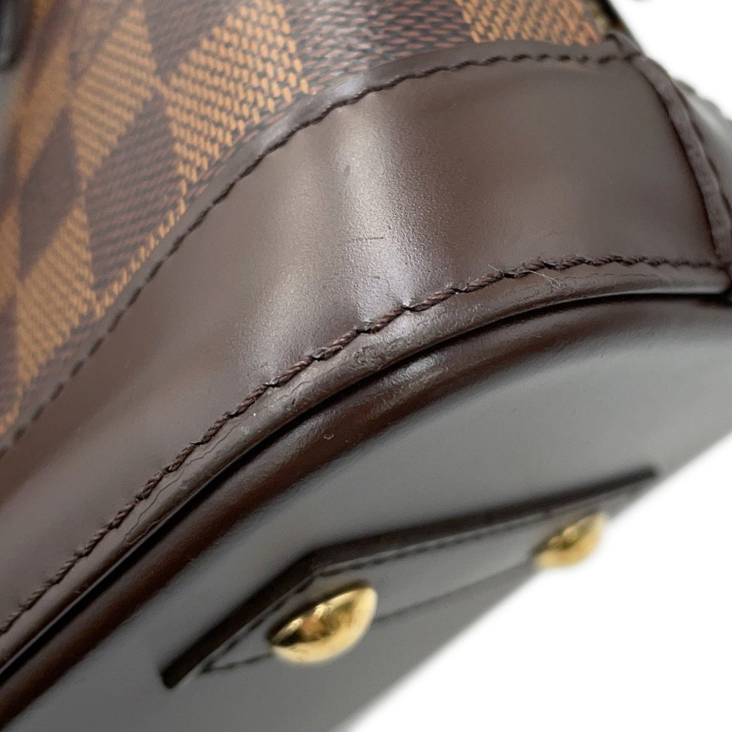 Louis Vuitton Others Brown Handbags