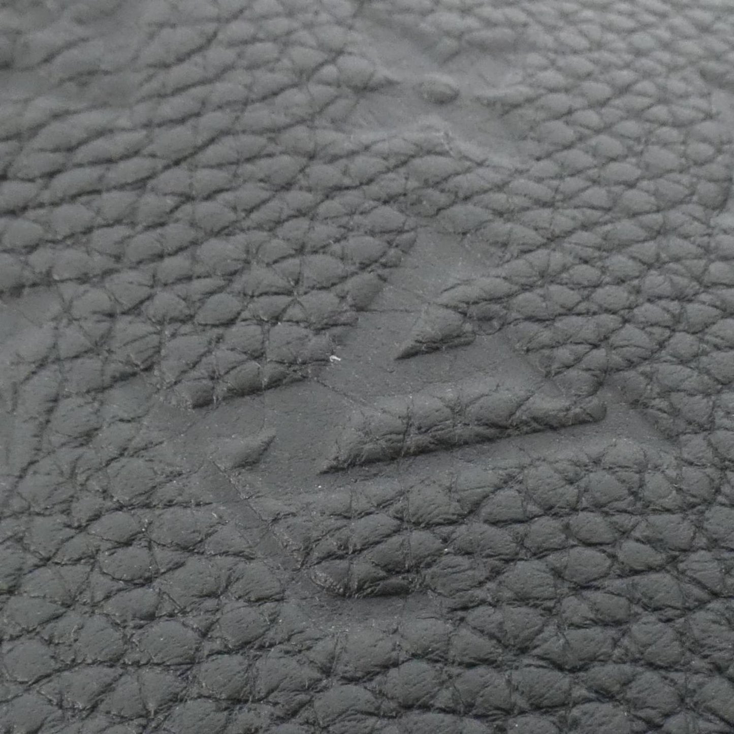 Louis Vuitton Others Black Shoulder Bags