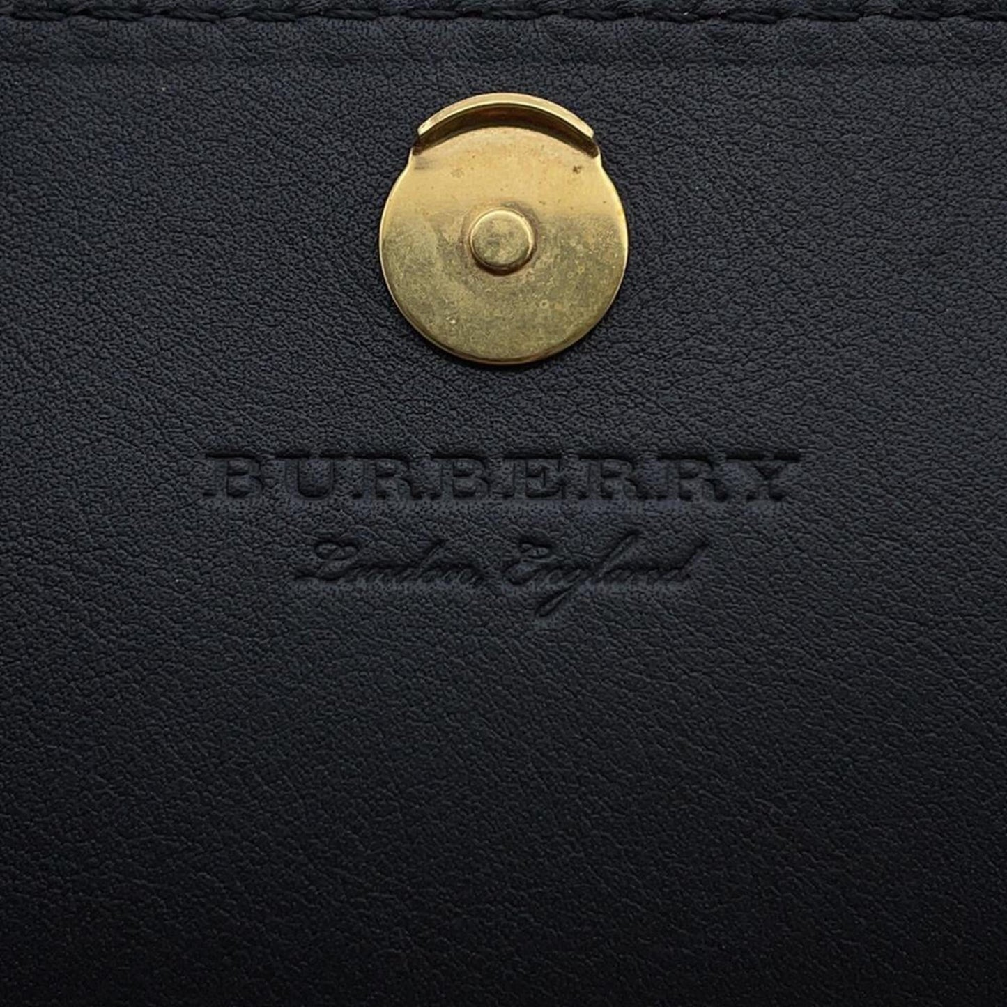 Burberry Others Pink Shoulder Bags
