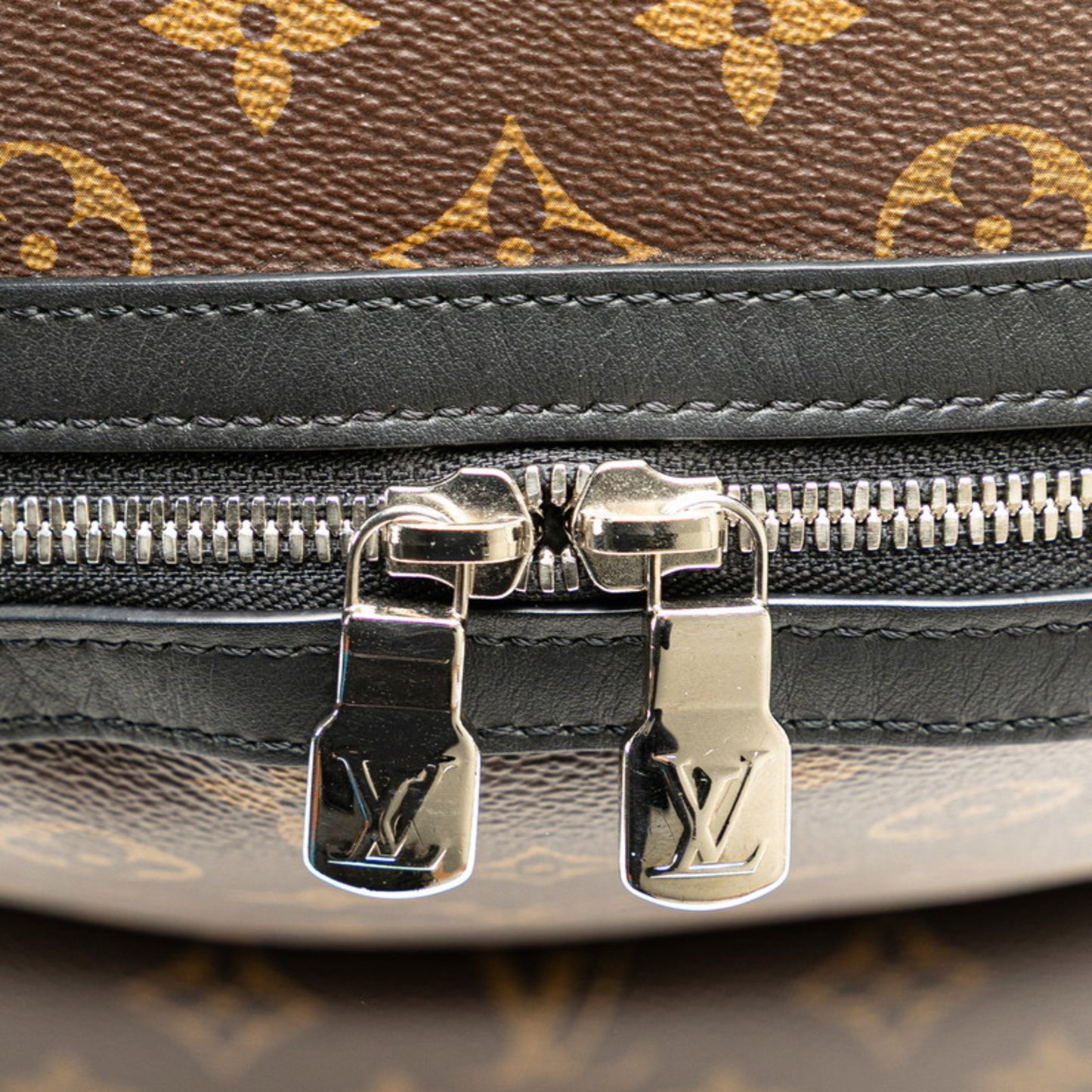 Louis Vuitton Pvc Brown Backpacks