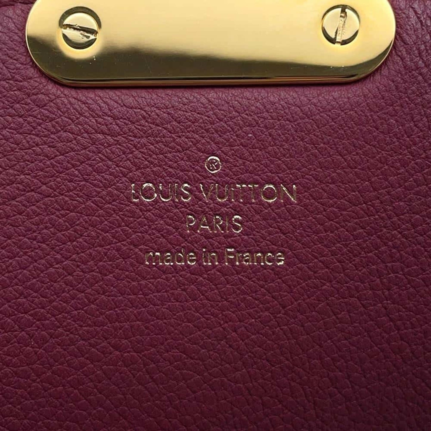 Louis Vuitton Monogram Canvas Brown Handbags