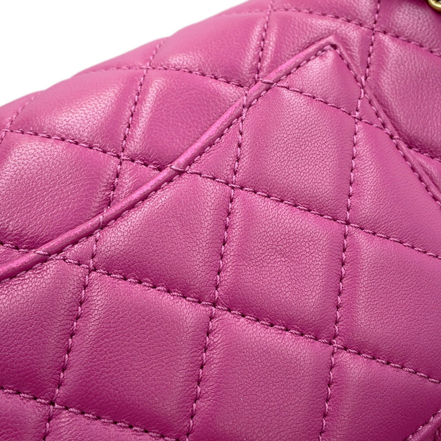 Chanel Others Purple Shoulder Bags