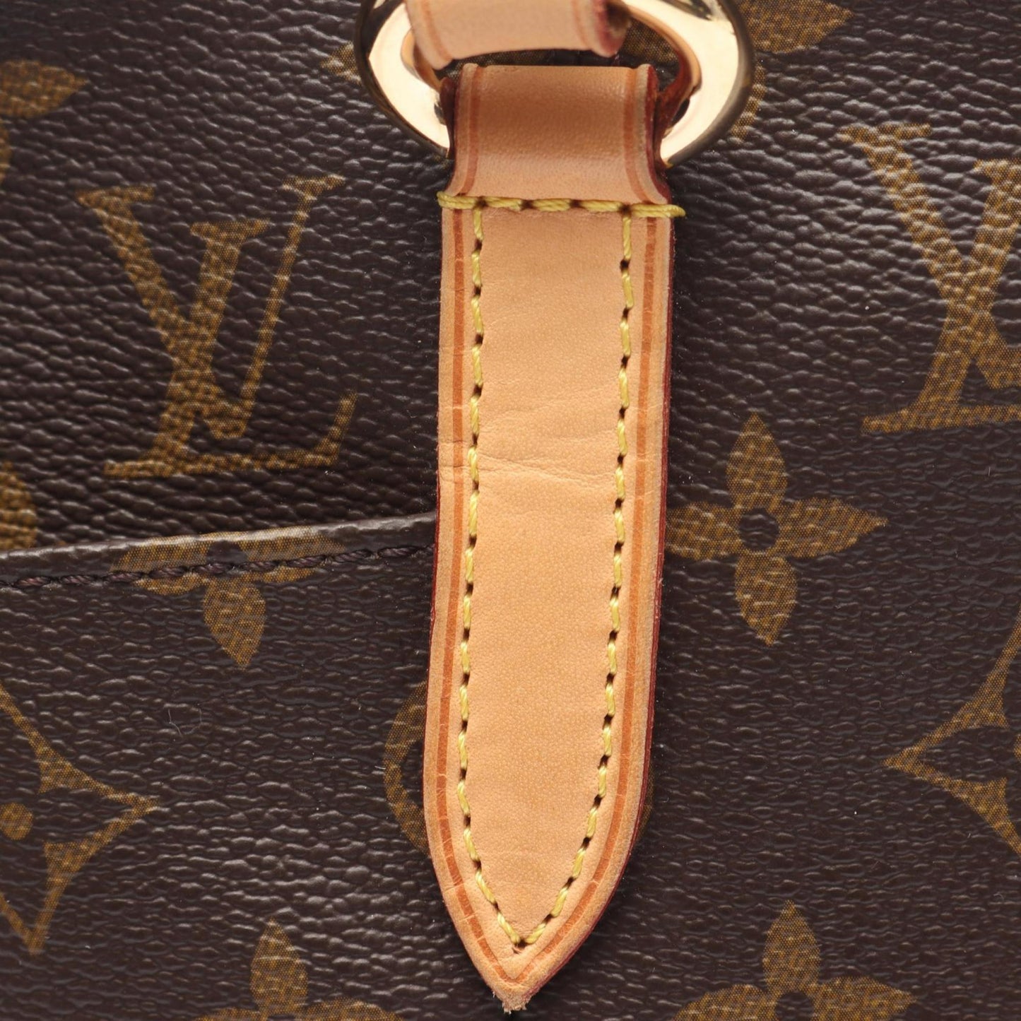 Louis Vuitton Coated Canvas Brown Tote Bags