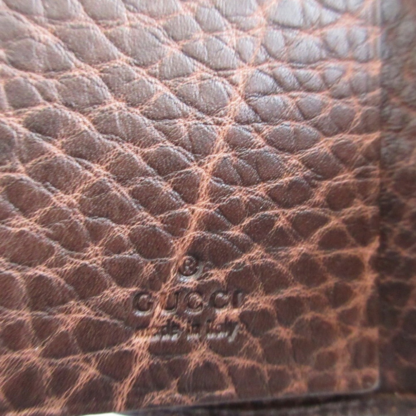 Gucci Others Brown Cases