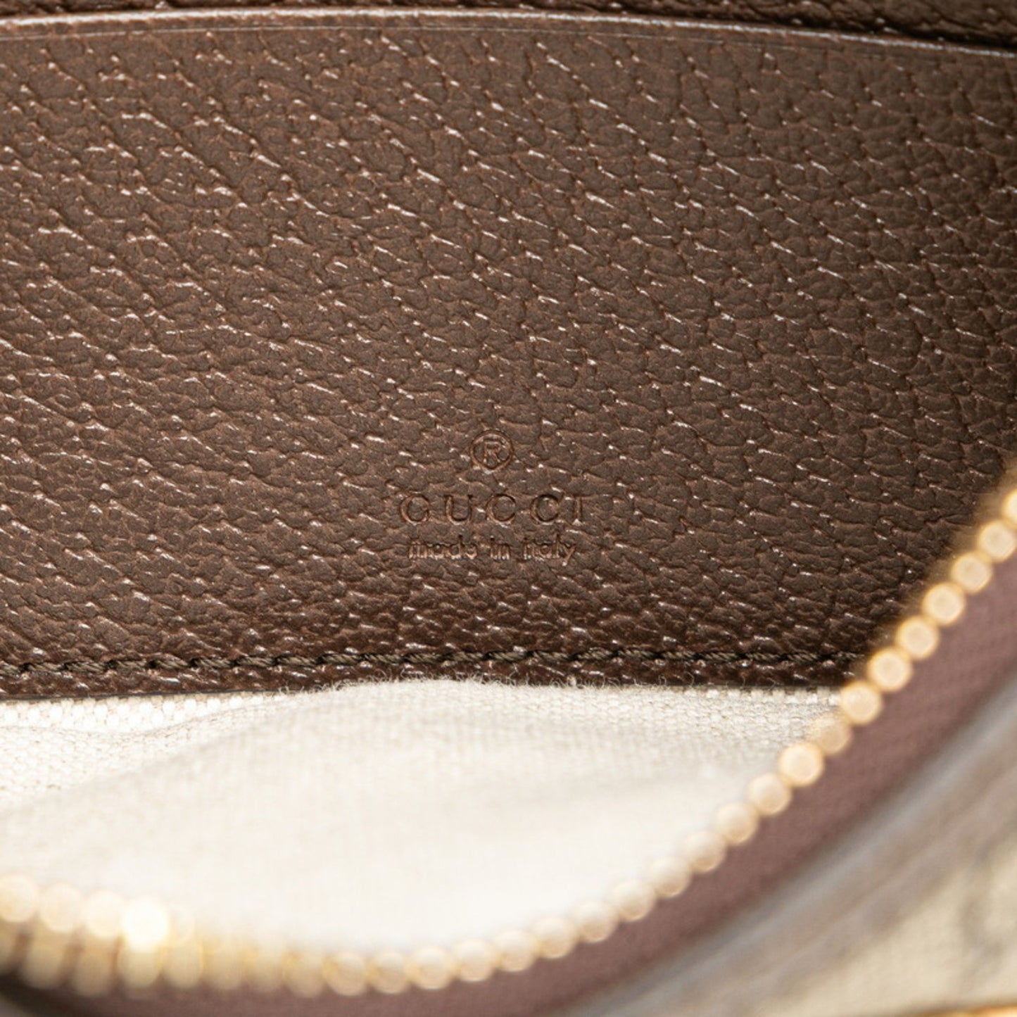 Gucci Pvc Brown Crossbody Bags