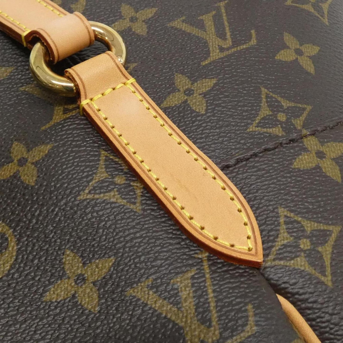 Louis Vuitton Monogram Canvas Brown Handbags