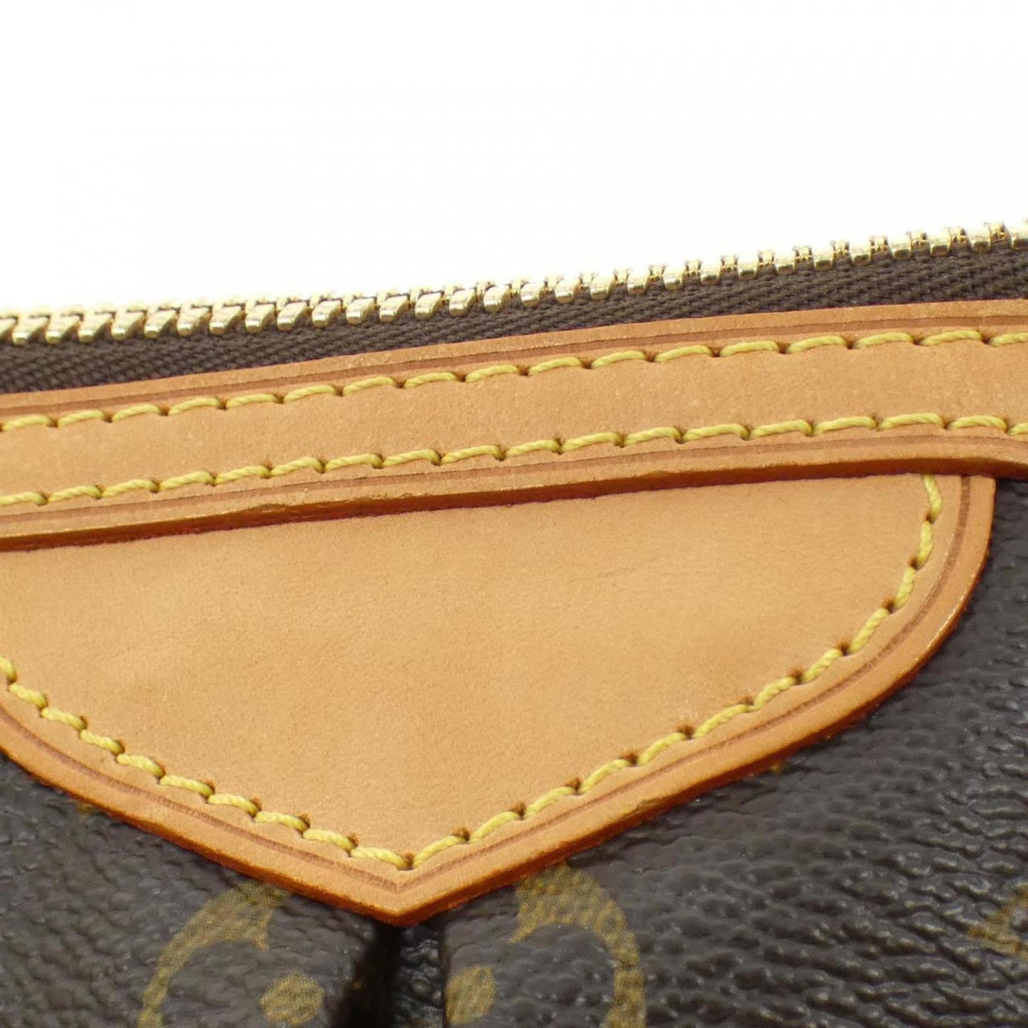 Louis Vuitton Coated Canvas Brown Handbags