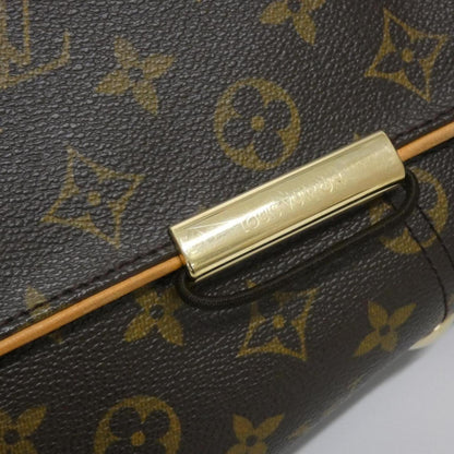 Louis Vuitton Monogram Canvas Brown Shoulder Bags