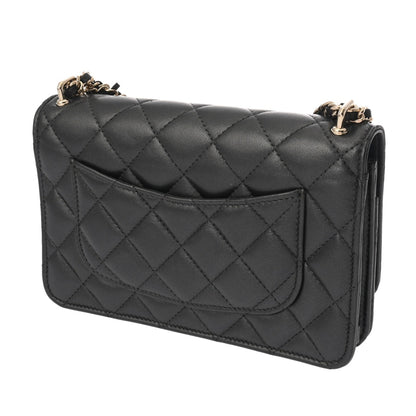 Chanel Others Black Small Bags